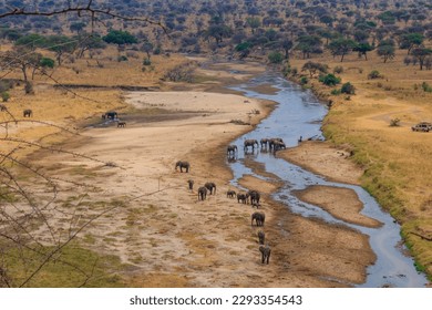 Herd of african elephants at the Tarangire river in Tarangire National Park, Tanzania. View from above - Powered by Shutterstock