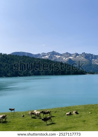 Similar – enjoy relaxed … Lake