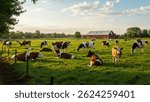A herd of dairy cows grazes in a lush green pasture under a clear blue sky.
cow natural milk 
