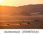 A herd of desert horses kicking up dust while trekking along the barren plains at Aus in Namibia at Dawn