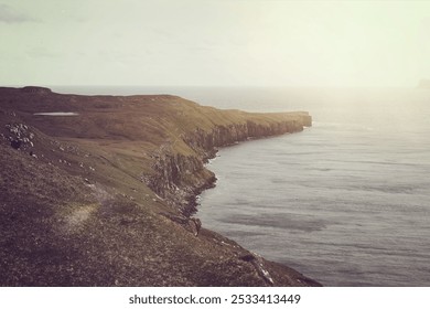 A herd of domestic sheep grazing on a coastal cliff in the Faroe Islands on a foggy cloudy day, the Kingdom of Denmark - Powered by Shutterstock