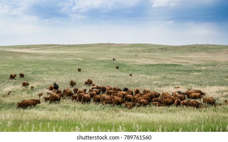 550,338 Ranch Images, Stock Photos & Vectors | Shutterstock