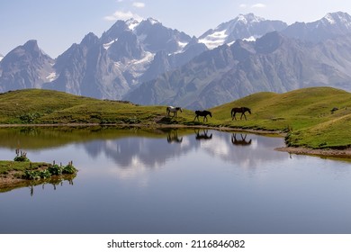A herd of horses grazing at the Koruldi Lake with a dream like view on the mountain range near Mestia in the Greater Caucasus Mountain Range, Upper Svaneti, Country of Georgia. Wildlife observation.