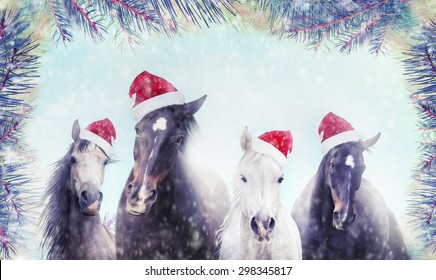 christmas horse images stock photos  vectors  shutterstock