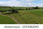 A herd on a green pasture in Ireland, top view. Organic Irish farm. Cattle grazing on a grass field, landscape. Animal husbandry. Green grass field under blue sky