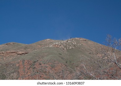 a herd of sheep down the mountain