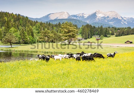Similar – Image, Stock Photo Landscape at Schmalensee lake near Mittenwald in Bavaria