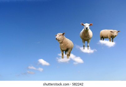 A herd of sheep on clouds.