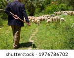 a herd of sheep an sheepherd in the meadow