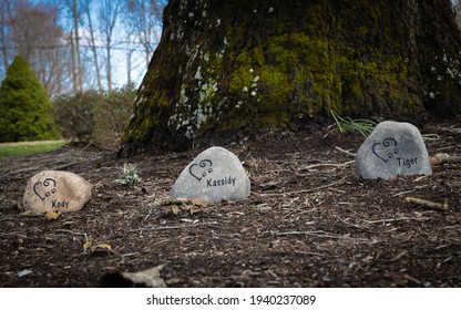 Here Is The Family's Pet Cemetery With Three Pet Grave Markers.