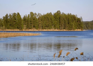 Here is a lake view.