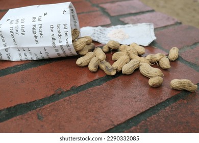 Here Are Some Dried Almonds