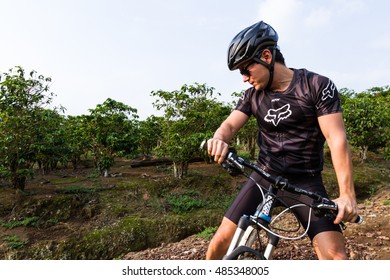 Heredia, Costa Rica - May 08: Young man riding his mountain bike on rough roads true  coffee plantation. May 08 2016 Heredia, Costa Rica. - Shutterstock ID 485348005