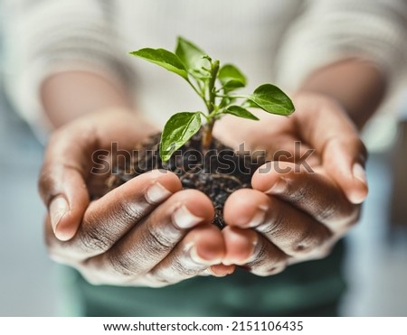 Heres to new beginnings. Cropped shot of an unrecognizable woman holding a plant growing out of soil.