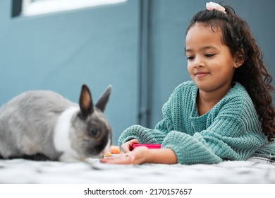 Heres A Treat. Shot Of An Adorable Little Girl Feeding Her Pet Rabbit At Home.