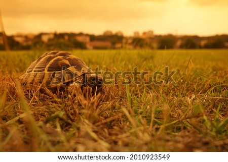 Similar – Foto Bild Aufbruchsstimmung Sommer