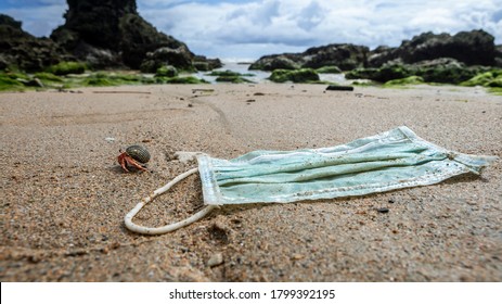 A hermit crab near medical waste, masks garbage trash on sea water. Coronavirus covid-19 pollution disease the environment. Used surgical mask thrown on the seashore of a beach.