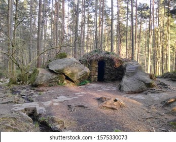 The Hermitage Forest, Perthshire, Scotland, UK 