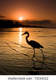 Heron In Mobile Bay