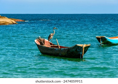 Heron perched on a rustic wooden fishing canoe in the sea of ​​Ilhabela on the north coast of Sao Paulo - Powered by Shutterstock