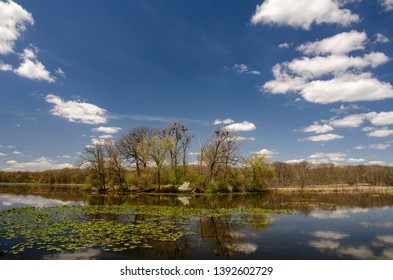 A Heron Rookery Sits In Kent Lake At Kensington Metroparkl, Oakland County, Michigan