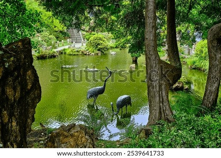 Heron statues in a pond in a Japanese Tea Garden. 
