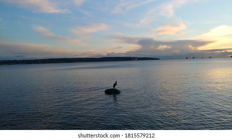 Heron And Sunset On English Bay, West End, Vancouver