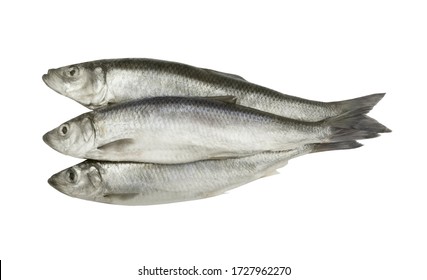 魚の尾 Images Stock Photos Vectors Shutterstock