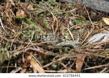 Similar – Image, Stock Photo The window to spring