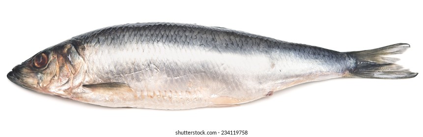 Herring Isolated On White Background