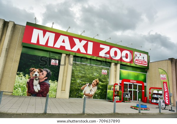 pet store franchises