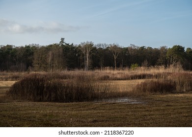 Het Kienveen situated at Landgoed de Velhorst in The Netherlands - Shutterstock ID 2118367220