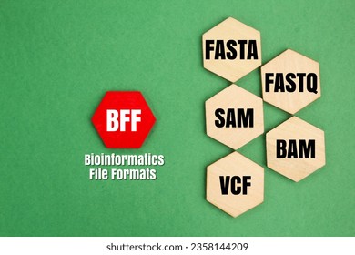 hexagon with the concept of Five Types of Bioinformatics File Formats namely FASTA, FASTQ, SAM, BAM and VCF