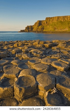 Hexagonal basalt columns of the giant's causeway, unesco world heritage site and area of special scientific interest, near bushmills, county antrim, ulster, northern ireland, united kingdom, europe