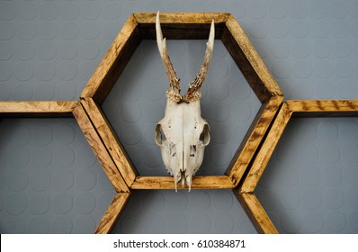 Hexagonal Shelves with Deer Skull - Powered by Shutterstock