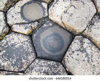 Hexagonal Stone Pathway Pattern At Giants' Causeway