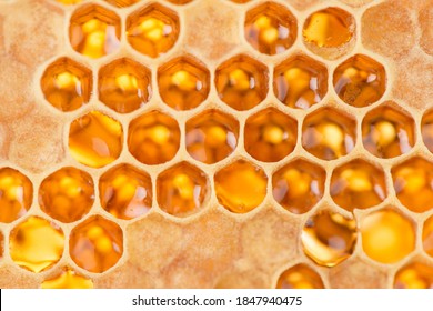Hexagonal textured honeycomb background close-up       
