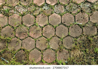 Hexagonal tile pattern on a sunny day