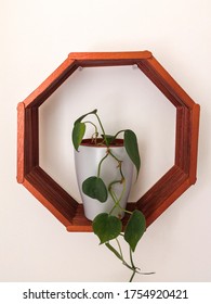 Hexagonal Wall Shelf Made Out Of Wooden Popsicle Sticks Hanging On The Wall With Potted Little Plant Inside. DIY And Crafting At Home Concept.