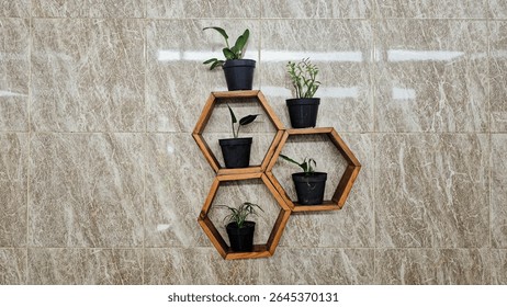 Hexagonal Wooden Shelves with Potted Plants Mounted on a Tiled Wall as Home Decor