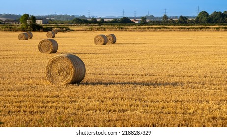 Hey Bale In Farm Field In The Morning