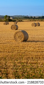 Hey Bale In Farm Field In The Morning