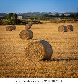 Hey Bale In Farm Field In The Morning