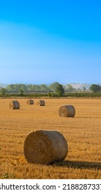 Hey Bale In Farm Field In The Morning