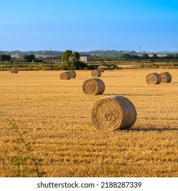 Hey Bale In Farm Field In The Morning