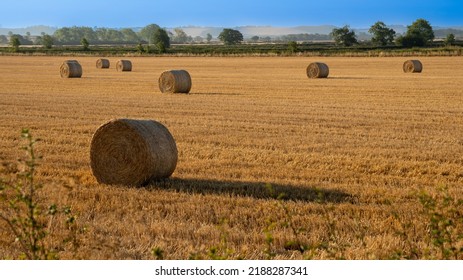 Hey Bale In Farm Field In The Morning