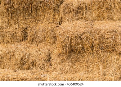 Hey Stack, Dry Grass Background