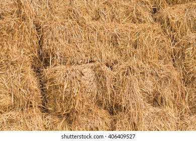 Hey Stack, Dry Grass Background