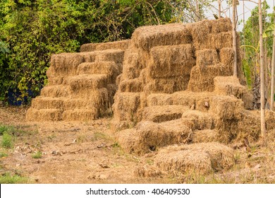 Hey Stack, Dry Grass Background