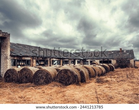 Hey stack row by old abandoned cow barn building. Dark dramatic sky. Muted color and depressive mood and feel. Country side scene.